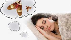 Zakaj sanjati o mol interpretaciji nočnih vizij, kako brati sanje